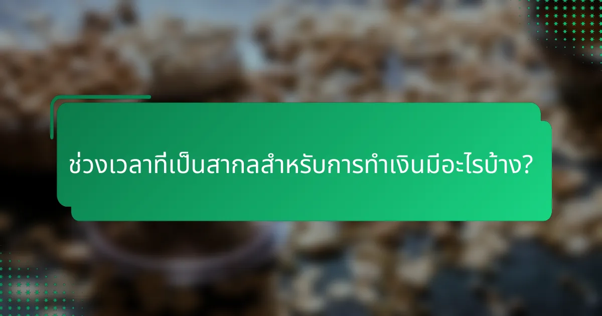 ช่วงเวลาที่เป็นสากลสำหรับการทำเงินมีอะไรบ้าง?