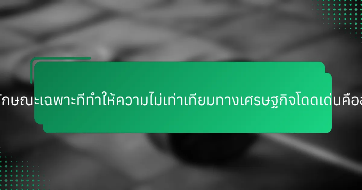 คุณลักษณะเฉพาะที่ทำให้ความไม่เท่าเทียมทางเศรษฐกิจโดดเด่นคืออะไร?