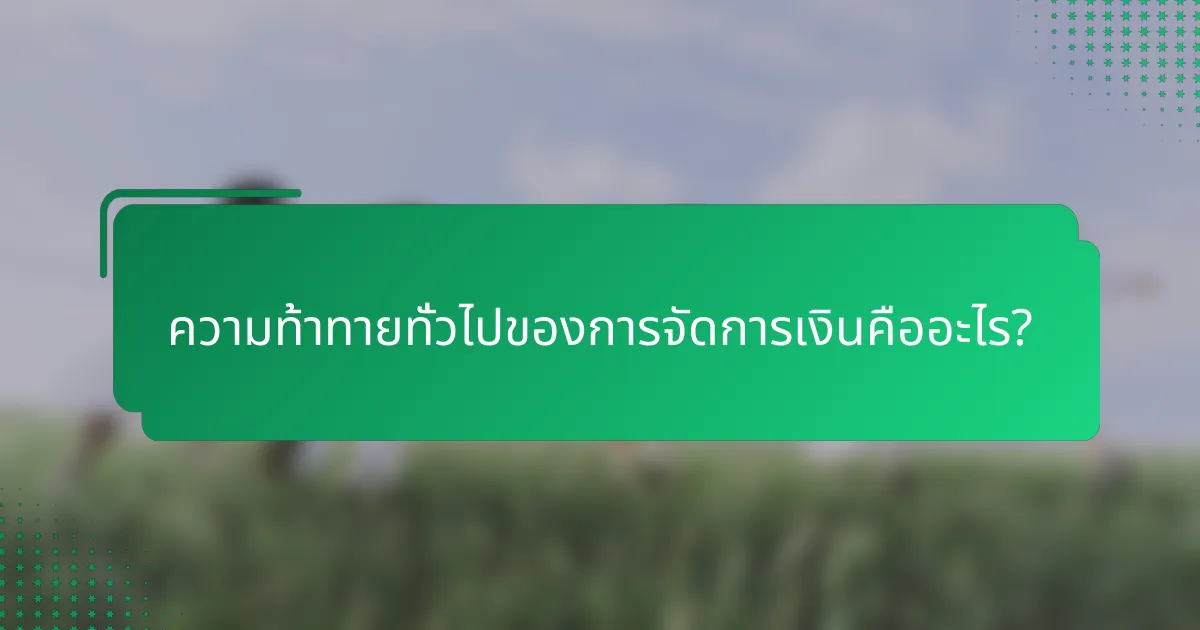 ความท้าทายทั่วไปของการจัดการเงินคืออะไร?