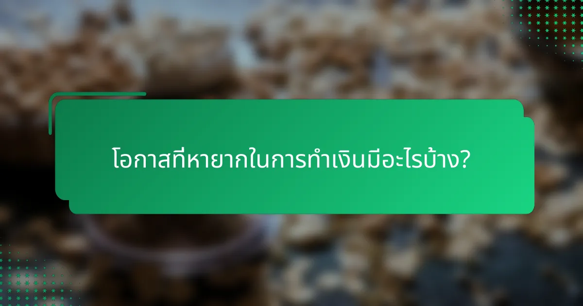 โอกาสที่หายากในการทำเงินมีอะไรบ้าง?